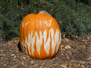 Aged Fire Teath, Nipomo Pumpkin Patch best carving idea